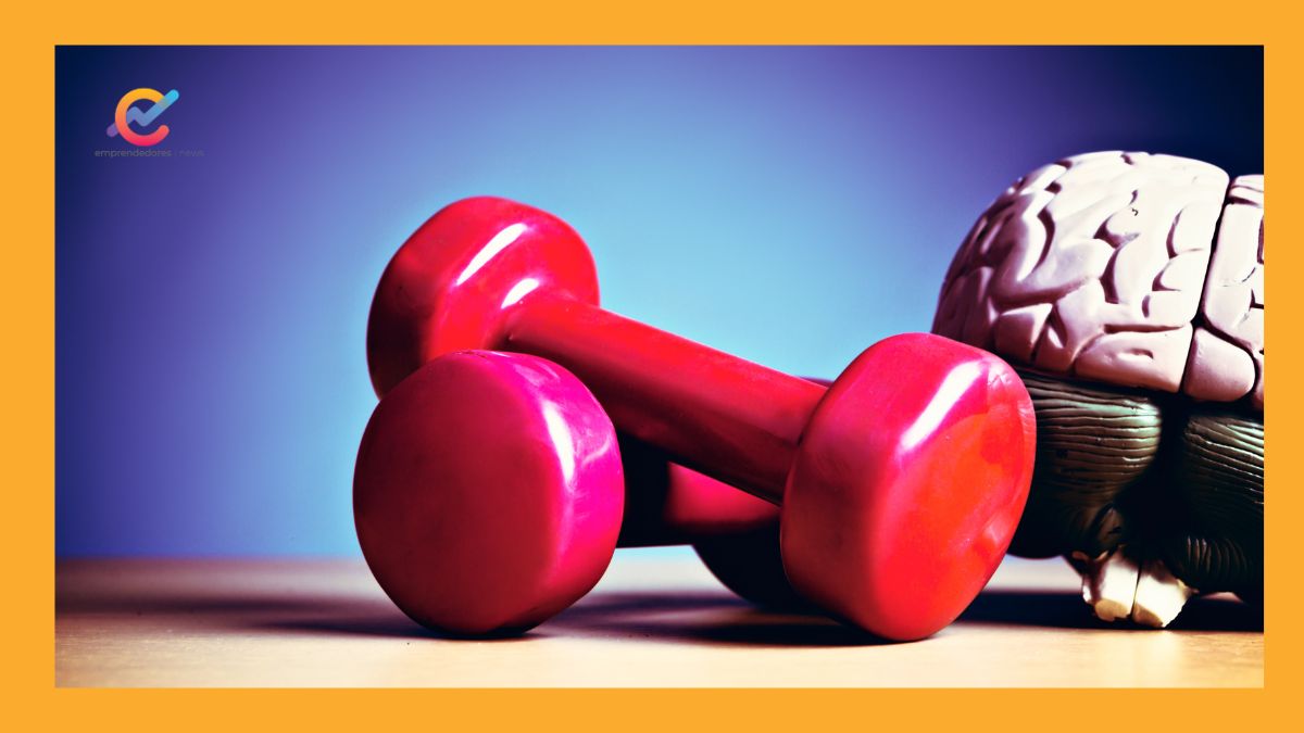 Triple gymnastics to achieve an efficient brain: developing the integral mind