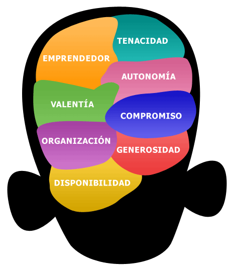What is the profile of the entrepreneur?